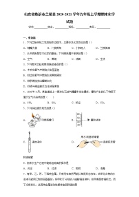 山东省临沂市兰陵县2020-2021学年九年级上学期期末化学试题（word版含答案）