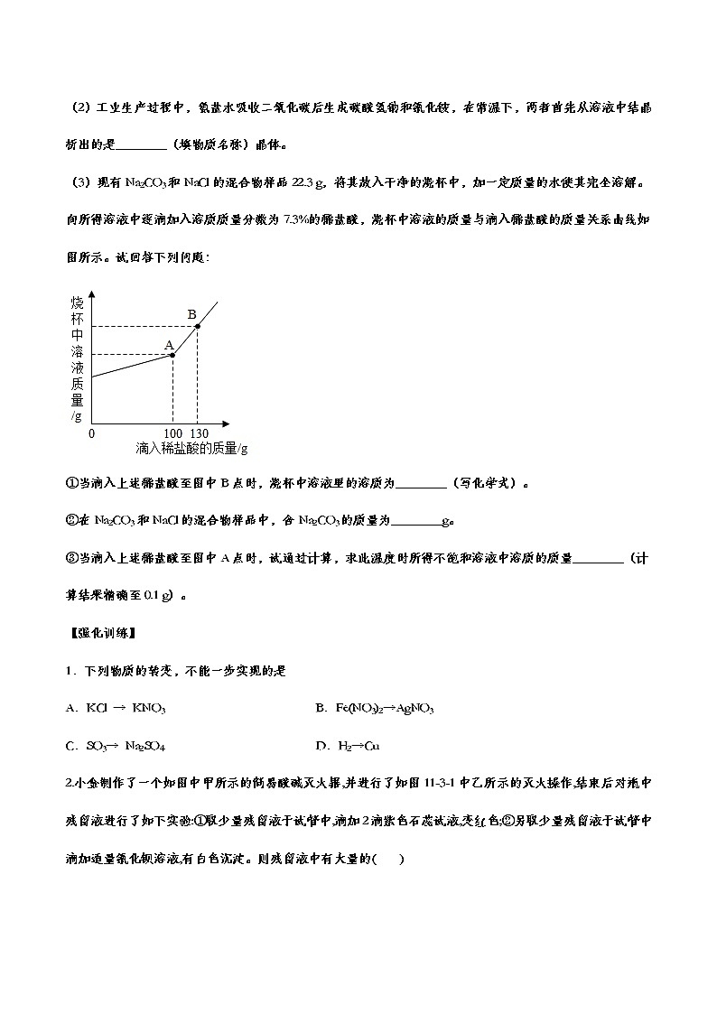 备战2021中考化学重点知识强化训练——专题二十三：盐和化肥02