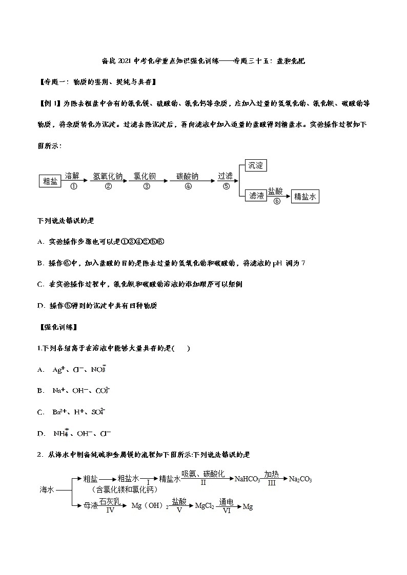 备战2021中考化学重点知识强化训练——专题三十五：盐和化肥01
