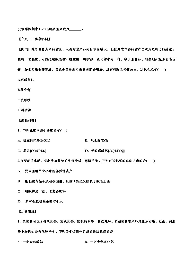 备战2021中考化学重点知识强化训练——专题三十五：盐和化肥03