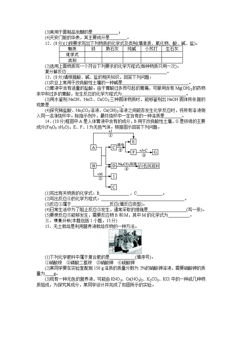 人教版化学九年级（下册） 第11单元 盐 化肥 单元检测02