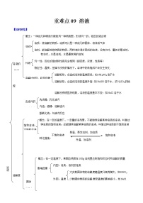 2021年中考化学重难点09 溶液