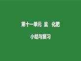 人教版化學九年級下冊第十一單元《鹽、化肥》復習課件