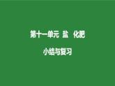 人教版化学九年级下册第十一单元《盐、化肥》复习课件