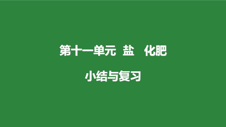 人教版化学九年级下册第十一单元《盐、化肥》复习课件01