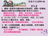 沪教版九年级化学上册 第1章 1.2 化学研究些什么（1）课件