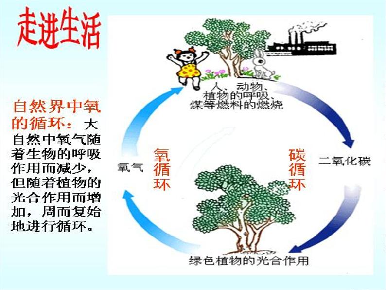 沪教版九年级化学上册 第2章 2.1 性质活泼的氧气（1）课件05