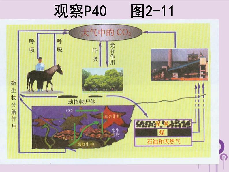 沪教版九年级化学上册 第2章 2.2奇妙的二氧化碳（1）课件第2页