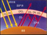 沪教版九年级化学上册 第2章 2.2奇妙的二氧化碳（1）课件