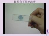 沪教版九年级化学上册第3章 3.1 构成物质的基本微粒（1）课件