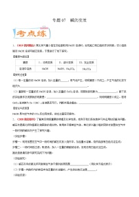 专题07  碱变质（考点专练）-备战2021年中考化学考点微专题（原卷版）