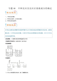 专题08  中和反应及反应后溶液成分的确定（考点详解）-备战2021年中考化学考点微专题（解析版）