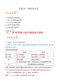 专题09  物质的分类（考点详解）-备战2021年中考化学考点微专题（解析版）