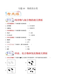 专题09  物质的分类（考点专练）-备战2021年中考化学考点微专题（原卷版）