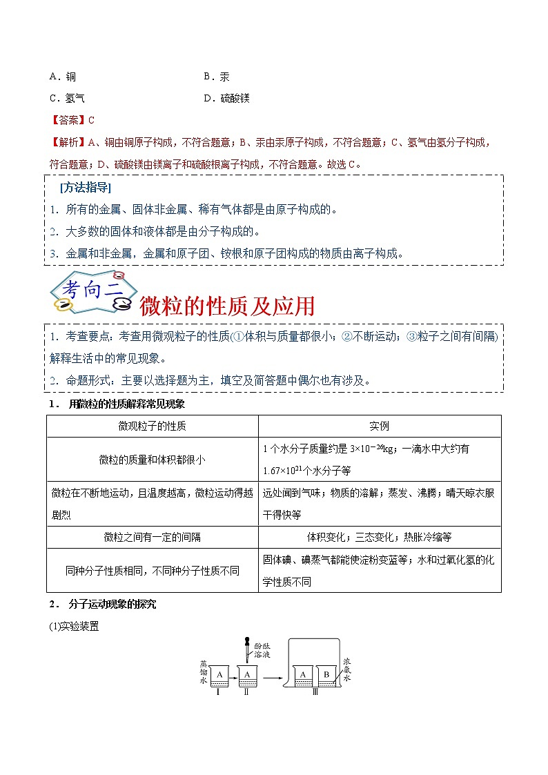 专题10  微粒及元素（考点详解）-备战2021年中考化学考点微专题（解析版）03
