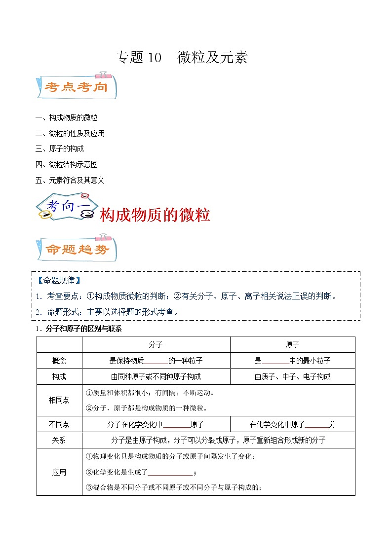专题10  微粒及元素（考点详解）-备战2021年中考化学考点微专题（原卷版）01