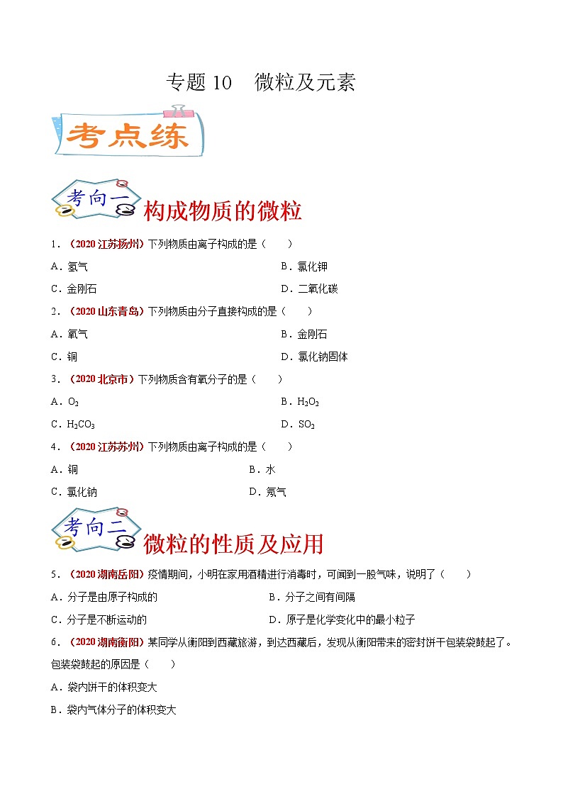 专题10  微粒及元素（考点专练）-备战2021年中考化学考点微专题（原卷版）第1页
