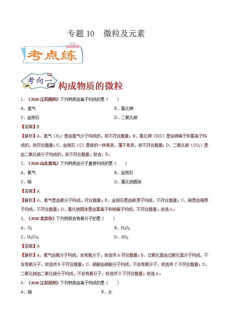专题10  微粒及元素（考点专练）-备战2021年中考化学考点微专题（解析版）01
