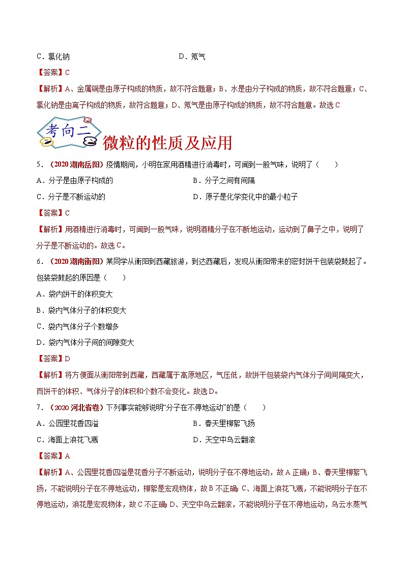 专题10  微粒及元素（考点专练）-备战2021年中考化学考点微专题（解析版）02