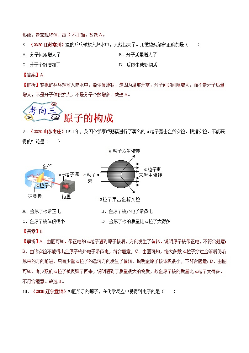 专题10  微粒及元素（考点专练）-备战2021年中考化学考点微专题（解析版）03