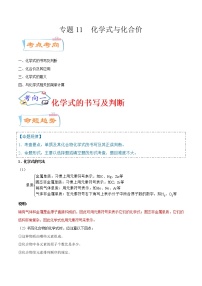 专题11  化学式与化合价（考点详解）-备战2021年中考化学考点微专题（原卷版）