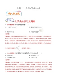 专题11  化学式与化合价（考点专练）-备战2021年中考化学考点微专题（解析版）