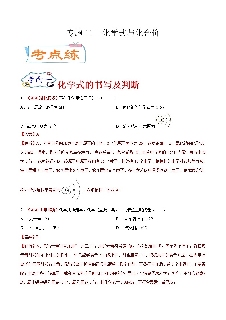 专题11  化学式与化合价（考点专练）-备战2021年中考化学考点微专题（解析版）01