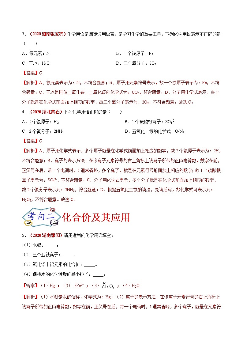 专题11  化学式与化合价（考点专练）-备战2021年中考化学考点微专题（解析版）02