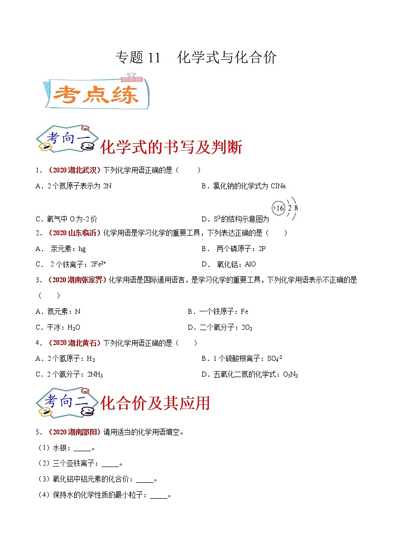 专题11  化学式与化合价（考点专练）-备战2021年中考化学考点微专题（原卷版）第1页