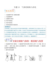 专题13  气体的制取与净化（考点详解）-备战2021年中考化学考点微专题（解析版）