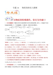 专题14   物质的转化与推断（考点专练）-备战2021年中考化学考点微专题（解析版）