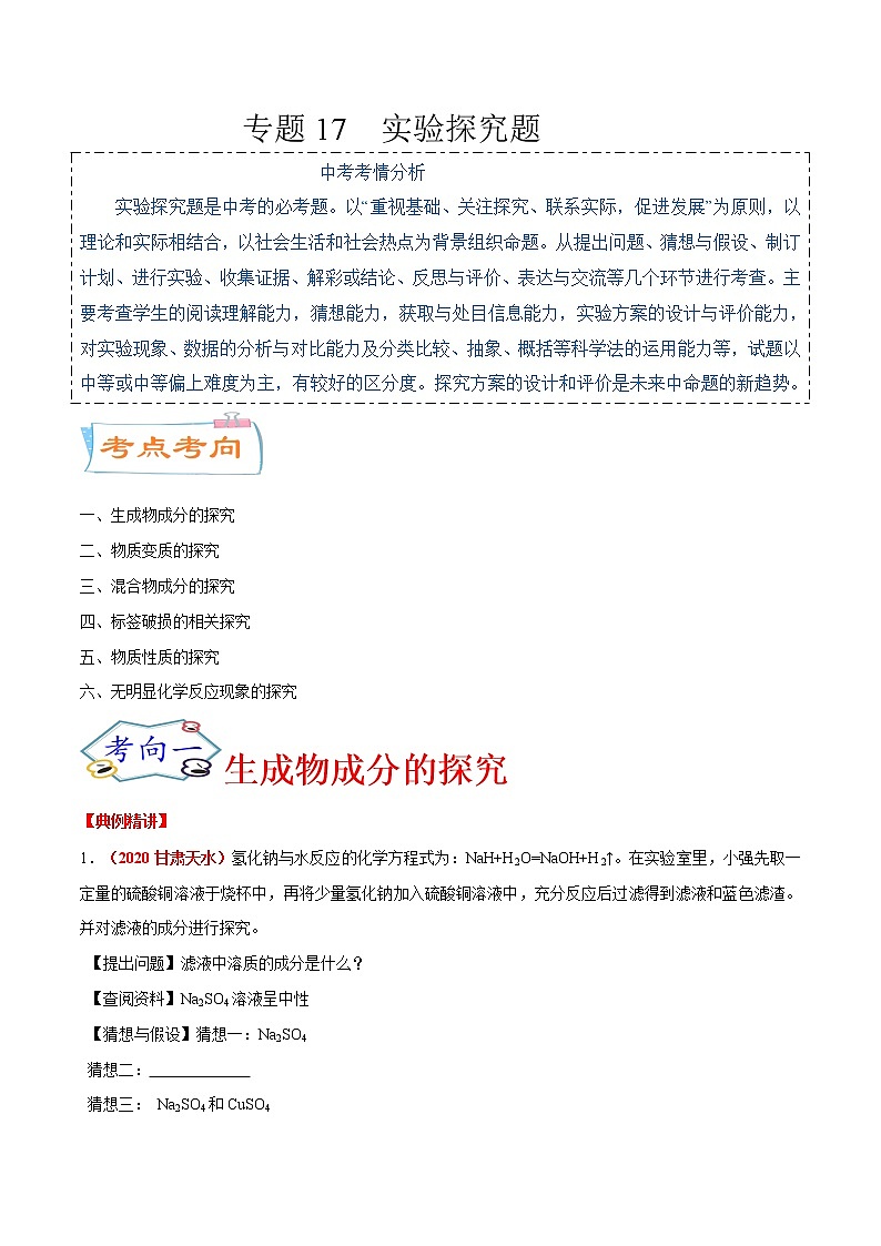 专题17  实验探究题（考点详解）-备战2021年中考化学考点微专题（解析版）第1页