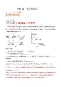 专题17  实验探究题（考点专练）-备战2021年中考化学考点微专题（解析版）