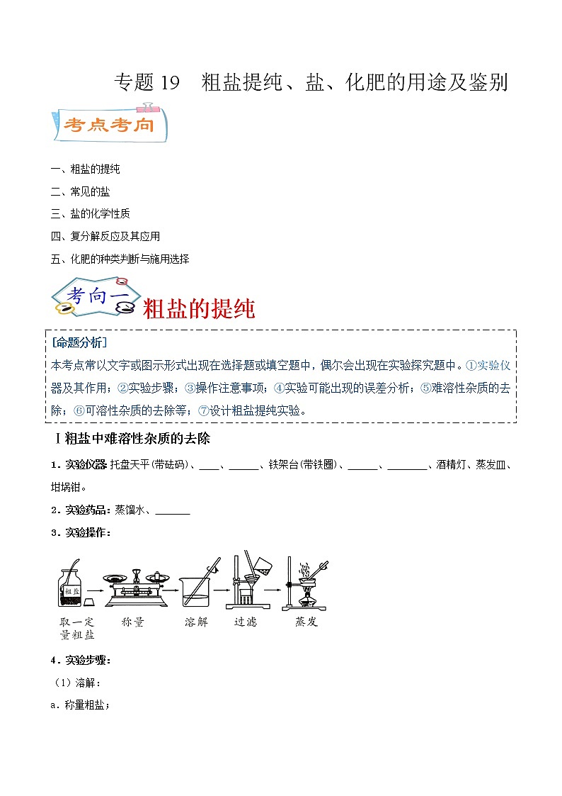 专题19  粗盐提纯、盐、化肥的用途及鉴别（考点详解）-备战2021年中考化学考点微专题（原卷版）第1页