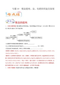 专题19  粗盐提纯、盐、化肥的用途及鉴别（考点专练）-备战2021年中考化学考点微专题（解析版）