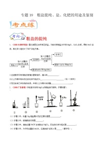 专题19  粗盐提纯、盐、化肥的用途及鉴别（考点专练）-备战2021年中考化学考点微专题（原卷版）