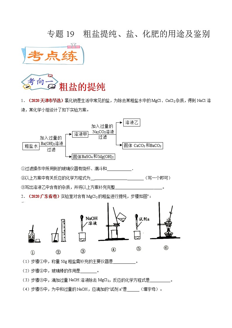 专题19  粗盐提纯、盐、化肥的用途及鉴别（考点专练）-备战2021年中考化学考点微专题（原卷版）01