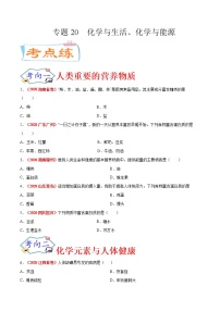 专题20  化学与生活、化学与能源（考点专练）-备战2021年中考化学考点微专题（原卷版）