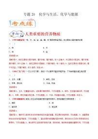 专题20  化学与生活、化学与能源（考点专练）-备战2021年中考化学考点微专题（解析版）