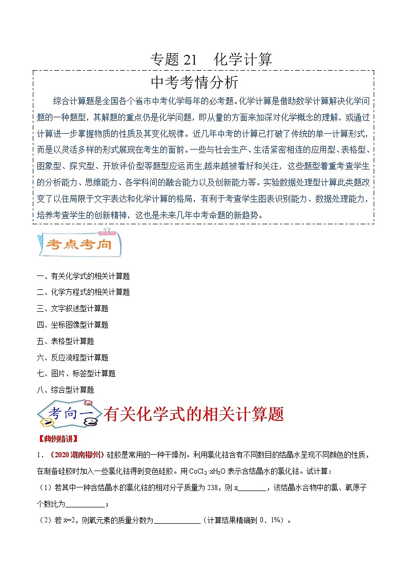 专题21  化学计算（考点详解）-备战2021年中考化学考点微专题（原卷版）01
