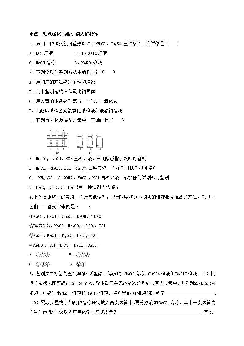 人教版化学九年级下册第十一单元 盐 化肥重点、难点强化训练 《物质的检验》01