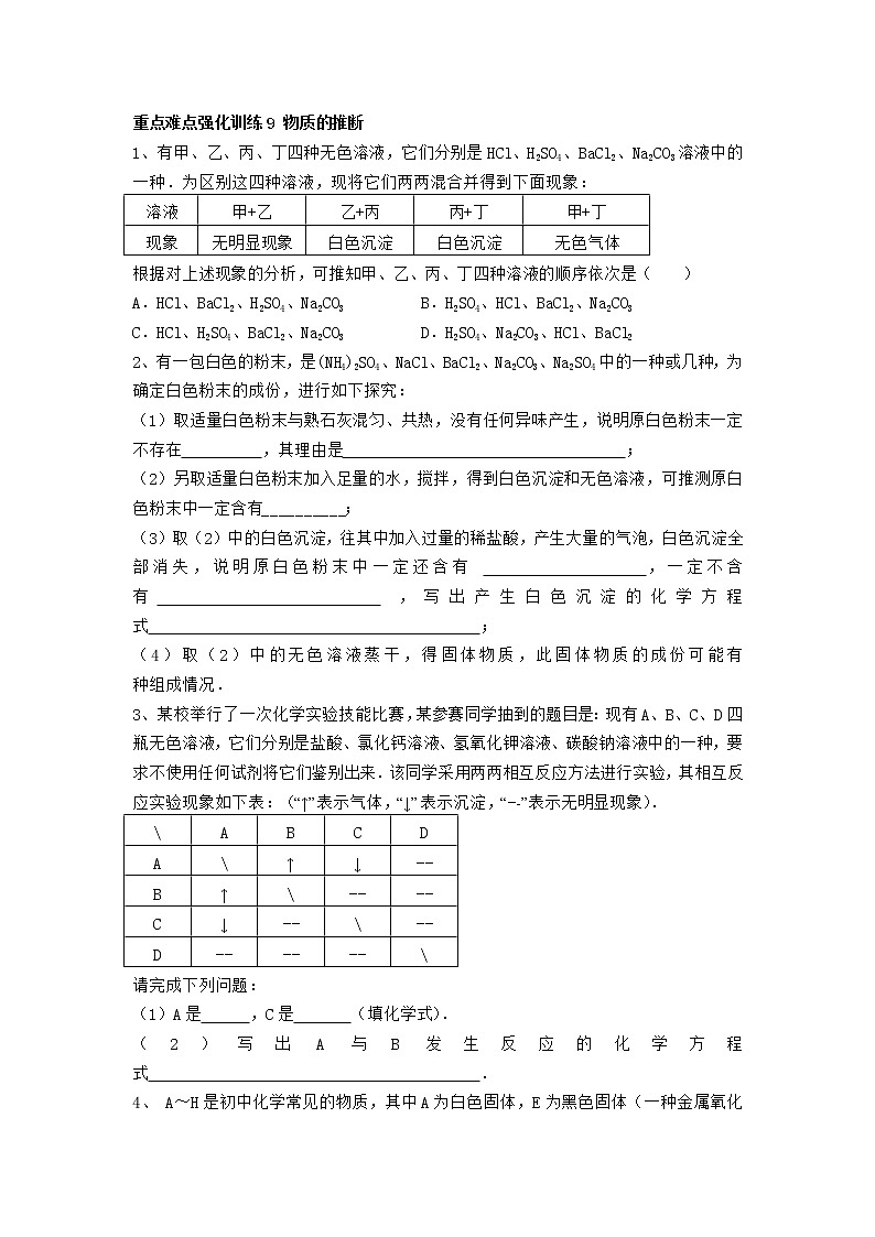 人教版化学九年级下册第十一单元 盐 化肥重点、难点强化训练《物质的推断》01