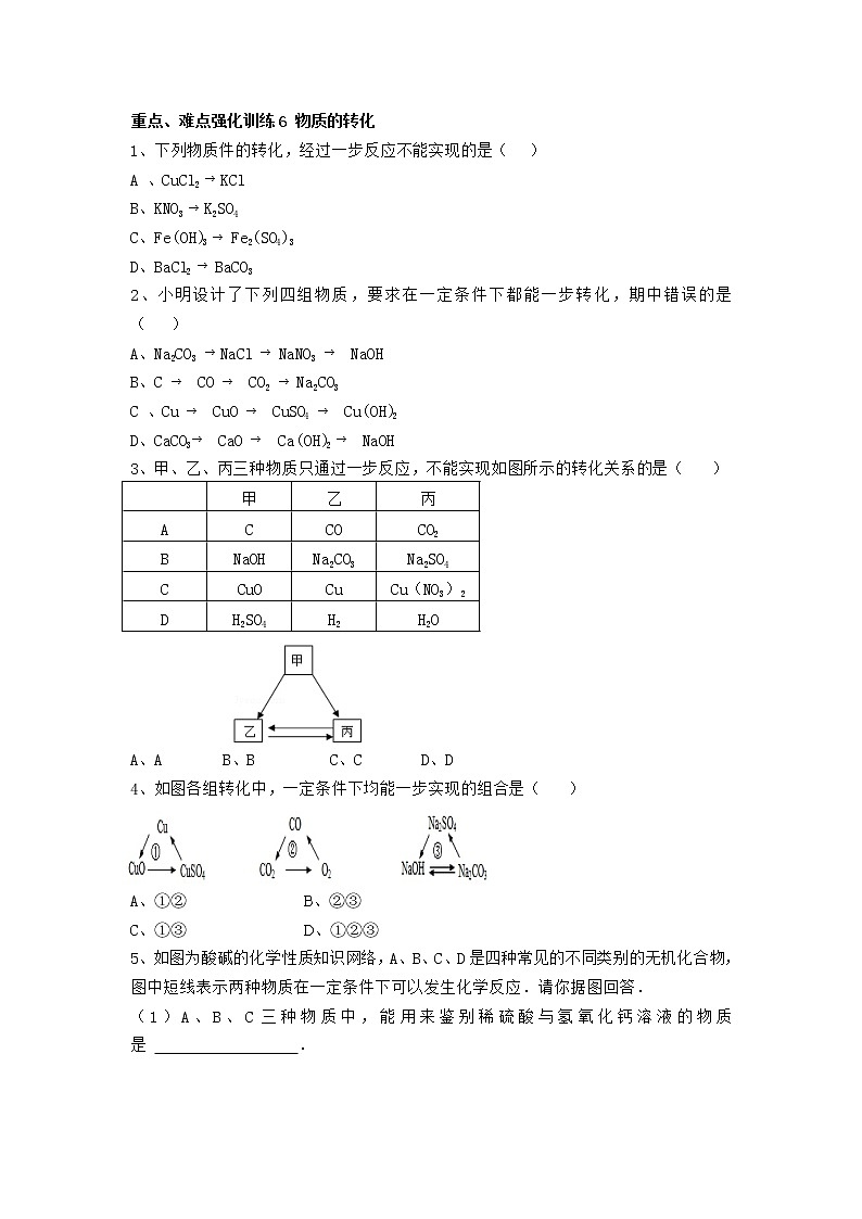 人教版化学九年级下册第十一单元 盐 化肥重点、难点强化训练《物质的转化》01