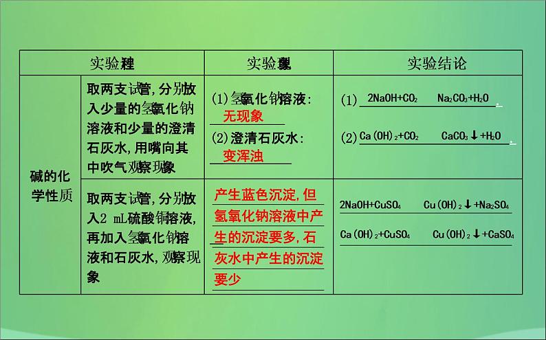 沪教版九年级化学下册 第7章 基础实验8 酸与碱的化学性质 课件04