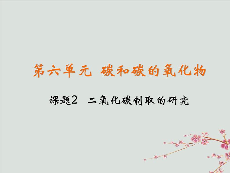 人教版九年级化学上册  第六单元 课题2 二氧化碳制取的研究 教学课件第2页