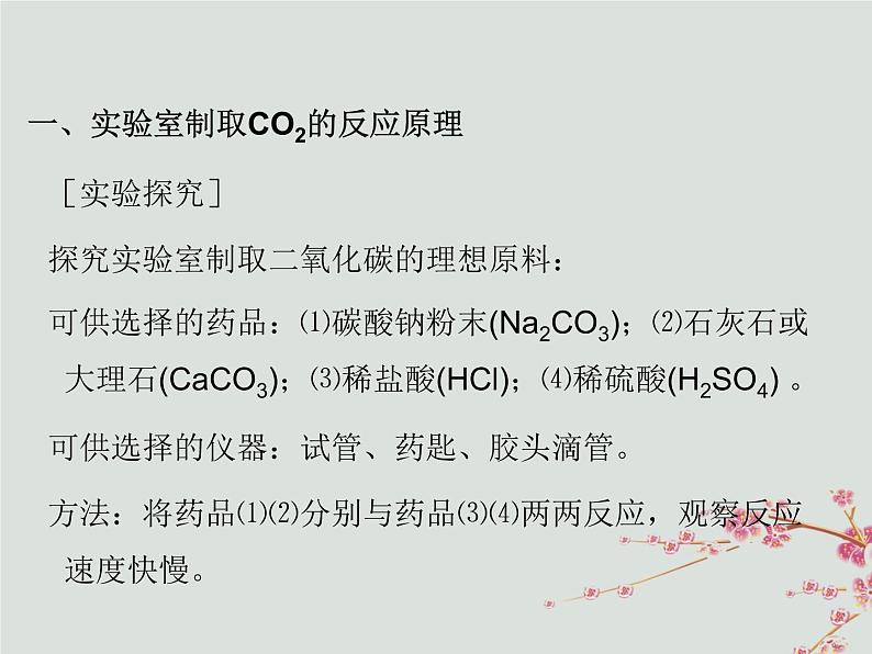 人教版九年级化学上册  第六单元 课题2 二氧化碳制取的研究 教学课件第4页