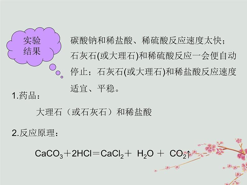 人教版九年级化学上册  第六单元 课题2 二氧化碳制取的研究 教学课件第6页