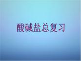中考化学：酸碱盐总复习 课件