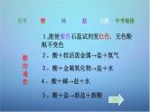 中考化学：酸碱盐总复习 课件