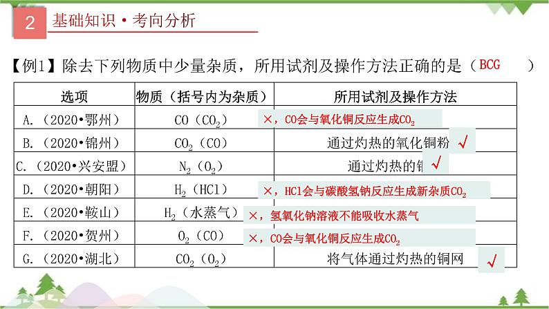 专题17 物质的检验与鉴别、分离与提纯-2021年中考化学二轮专题课件（人教版）07